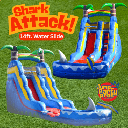 IMG 5061 1748072198 Shark Attack - Waterslide
