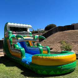 Paradise Palms – 14Ft. Waterslide